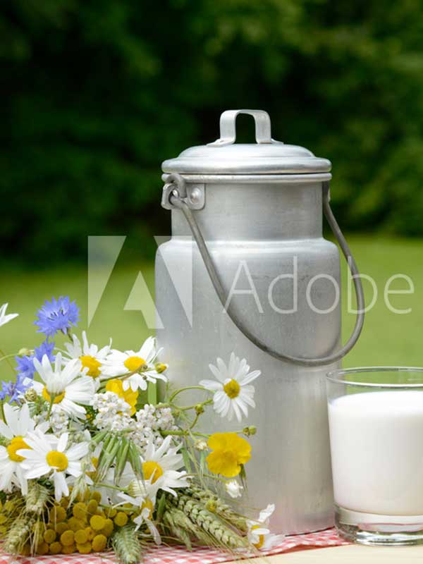 AdobeStock_73720005_Preview